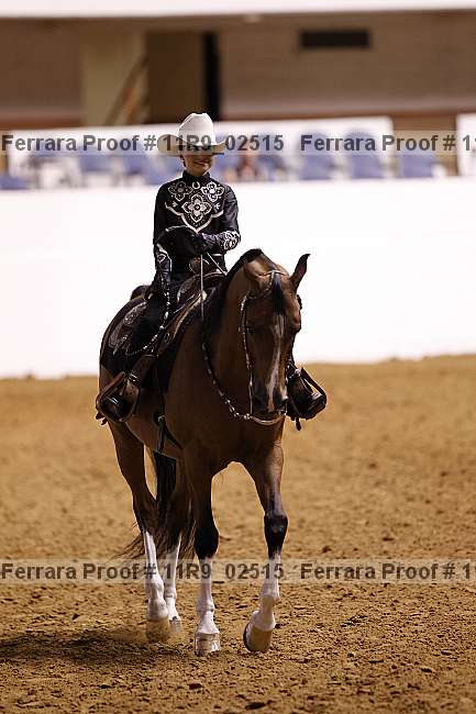 Proof 11r9_02515