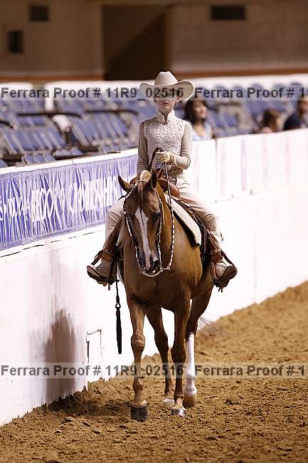 Proof 11r9_02516