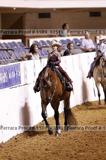 Proof 11r9_02519