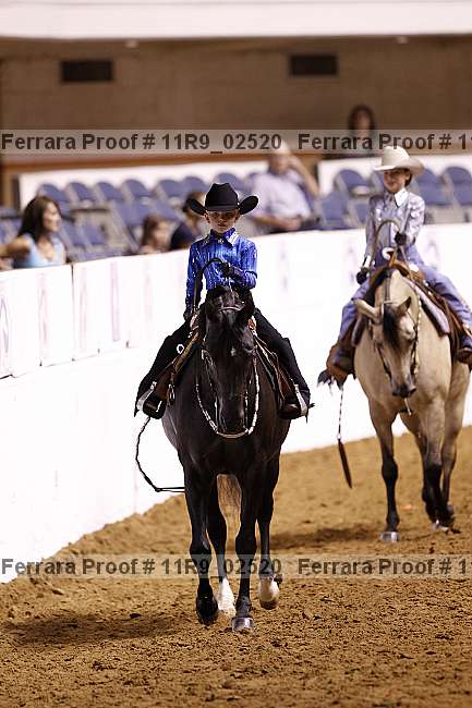 Proof 11r9_02520