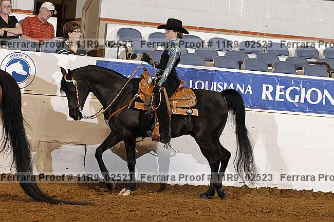 Proof 11r9_02523