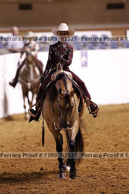 Proof 11r9_02527