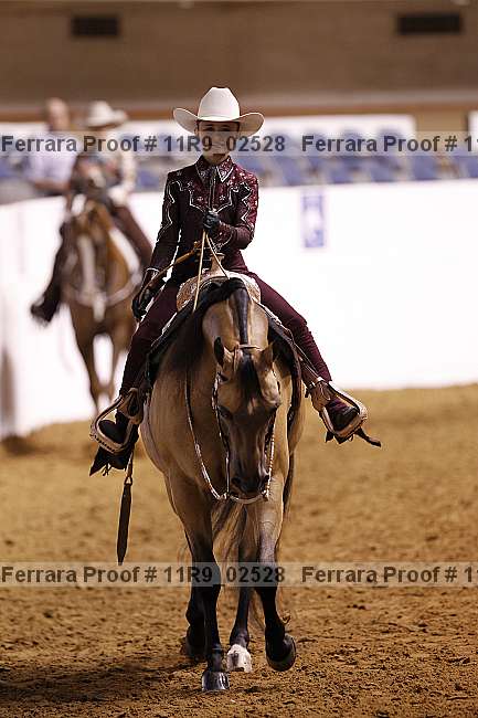 Proof 11r9_02528