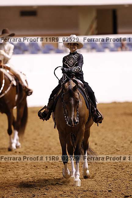 Proof 11r9_02529