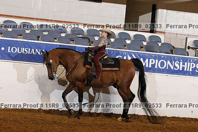 Proof 11r9_02533