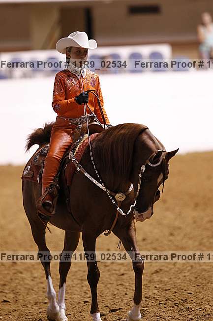 Proof 11r9_02534