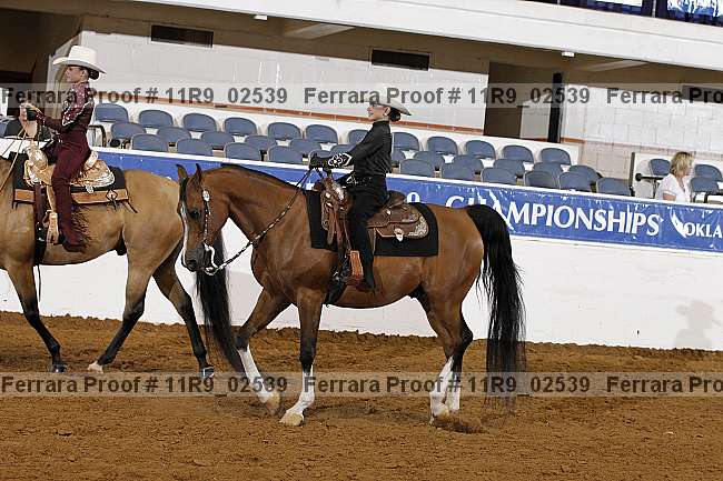 Proof 11r9_02539
