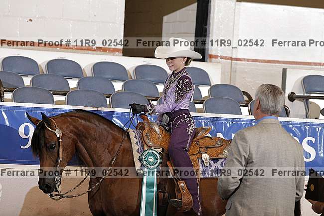 Proof 11r9_02542