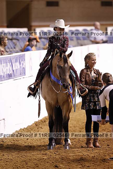 Proof 11r9_02546
