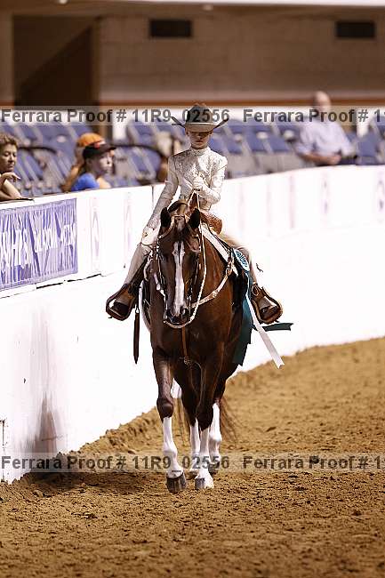 Proof 11r9_02556