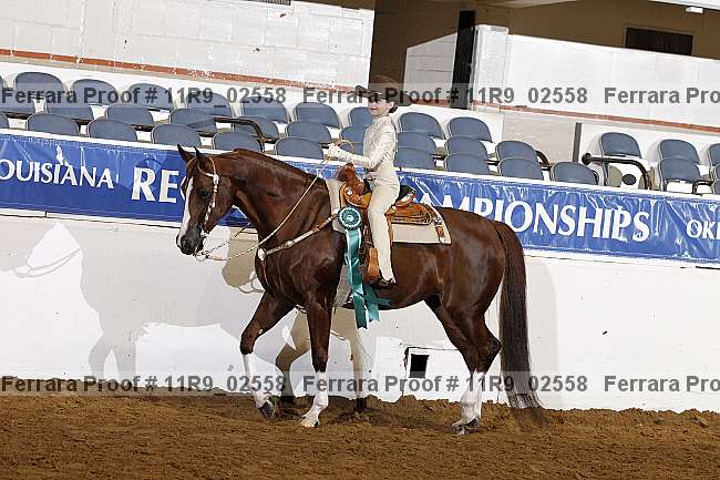 Proof 11r9_02558