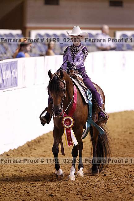 Proof 11r9_02563