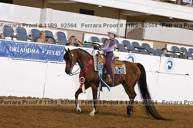 Proof 11r9_02564