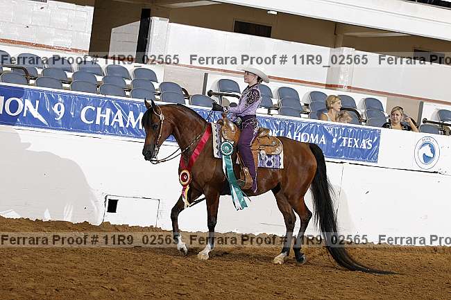 Proof 11r9_02565
