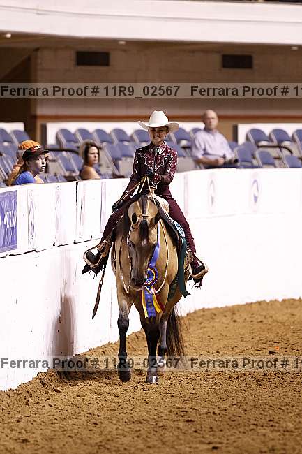 Proof 11r9_02567
