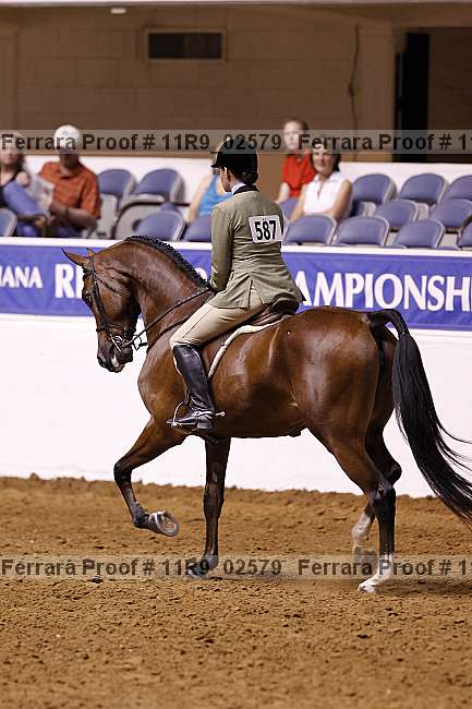 Proof 11r9_02579