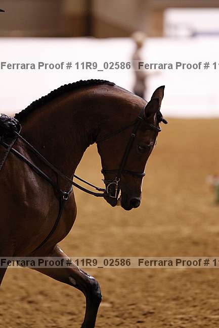 Proof 11r9_02586
