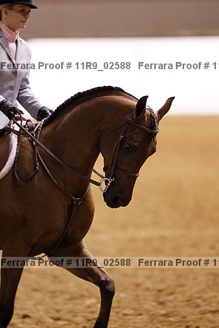 Proof 11r9_02588