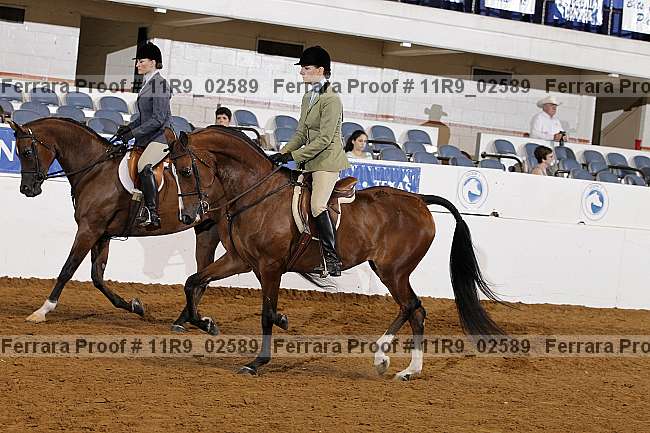 Proof 11r9_02589