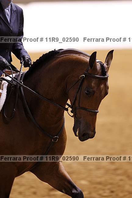 Proof 11r9_02590