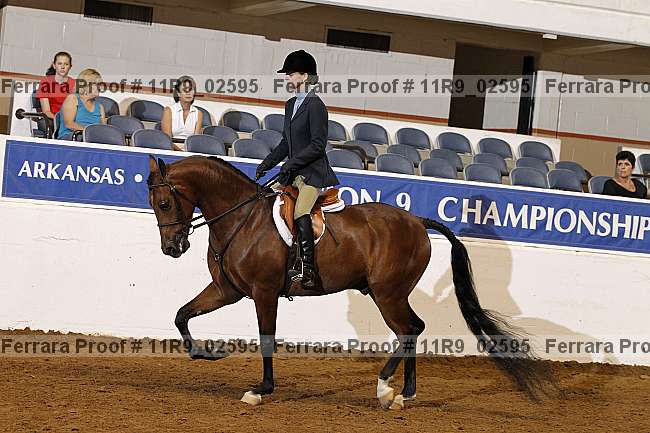 Proof 11r9_02595