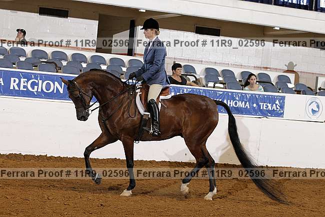 Proof 11r9_02596