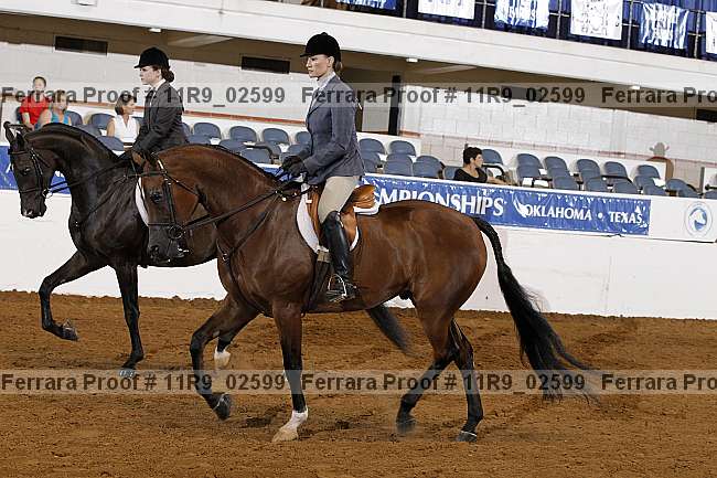Proof 11r9_02599