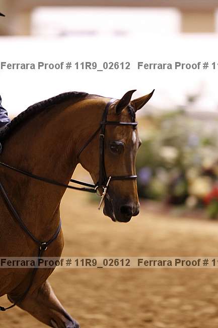 Proof 11r9_02612