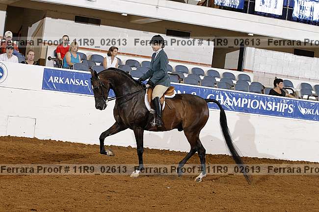 Proof 11r9_02613
