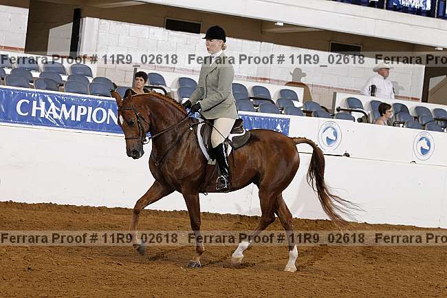Proof 11r9_02618