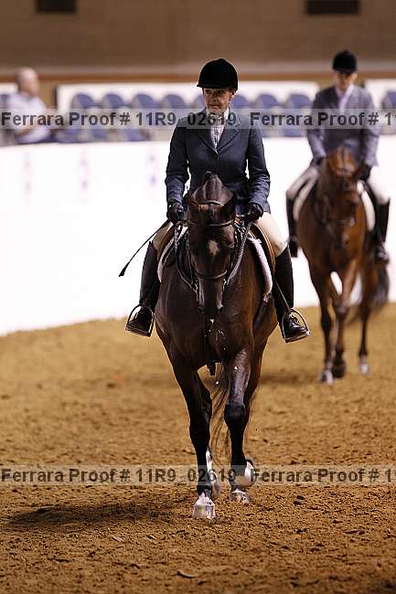 Proof 11r9_02619