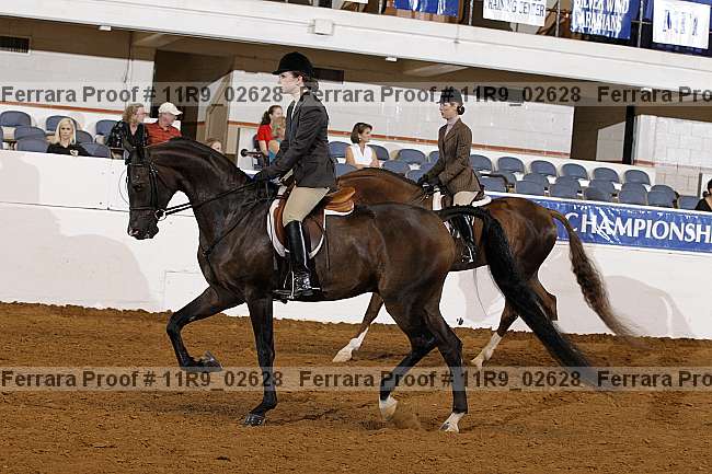 Proof 11r9_02628