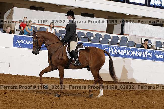 Proof 11r9_02632