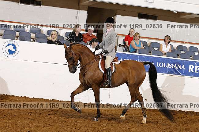 Proof 11r9_02636