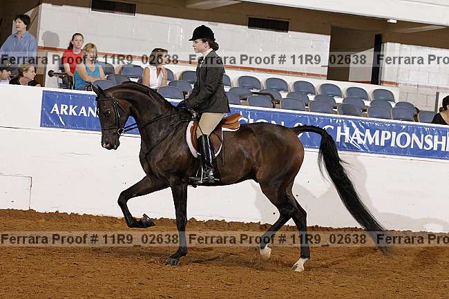 Proof 11r9_02638