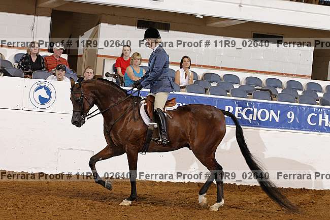 Proof 11r9_02640