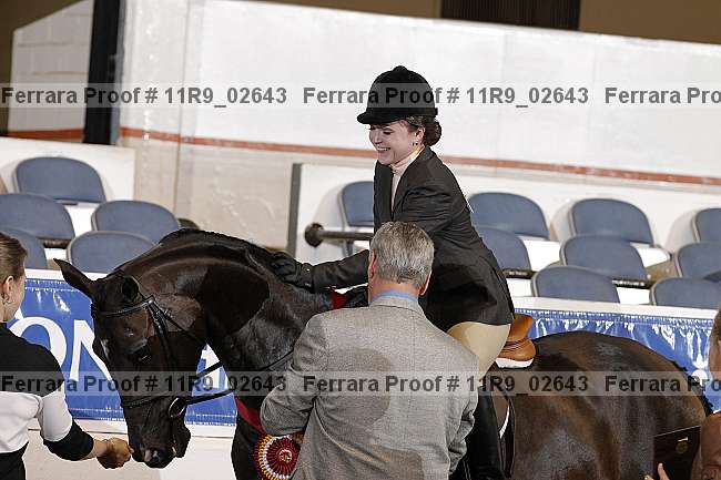 Proof 11r9_02643