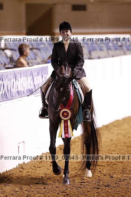 Proof 11r9_02645