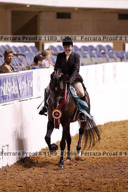Proof 11r9_02666
