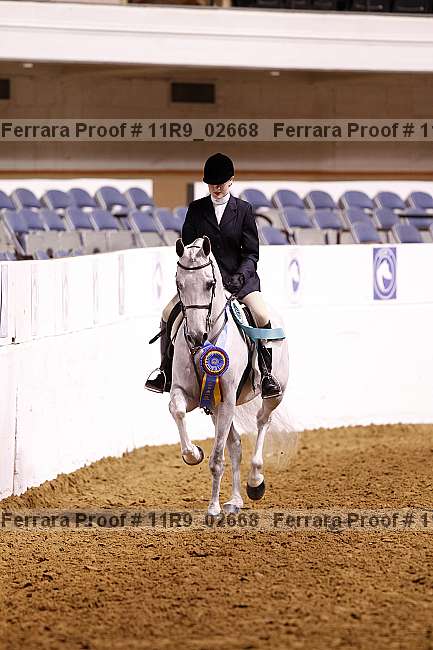 Proof 11r9_02668