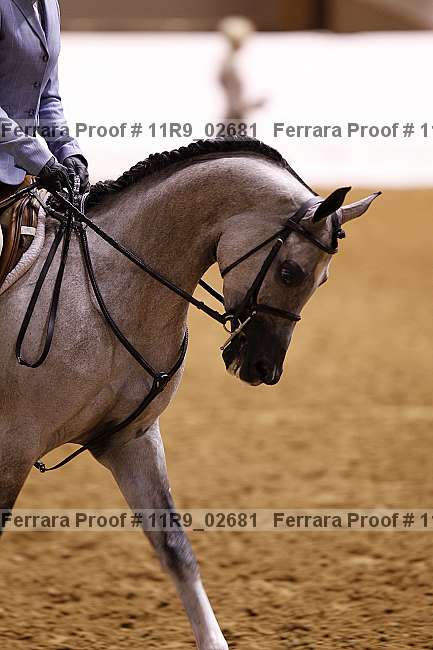 Proof 11r9_02681