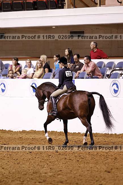 Proof 11r9_02690
