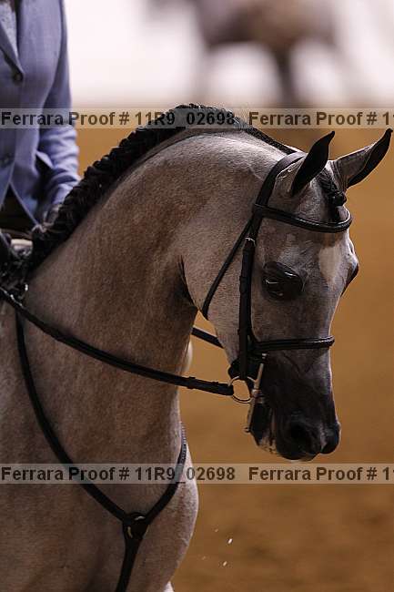 Proof 11r9_02698