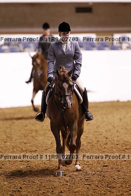 Proof 11r9_02703