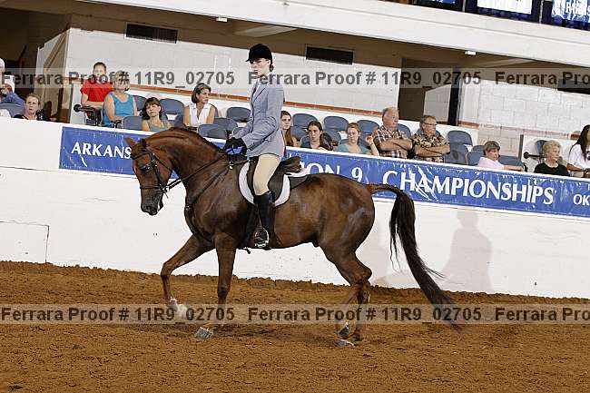Proof 11r9_02705