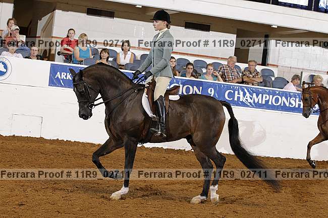 Proof 11r9_02711
