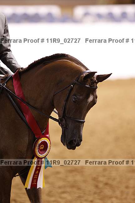 Proof 11r9_02727