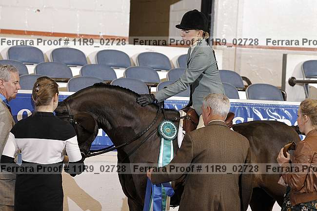 Proof 11r9_02728