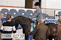 11r9_02728 proof