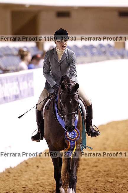 Proof 11r9_02733